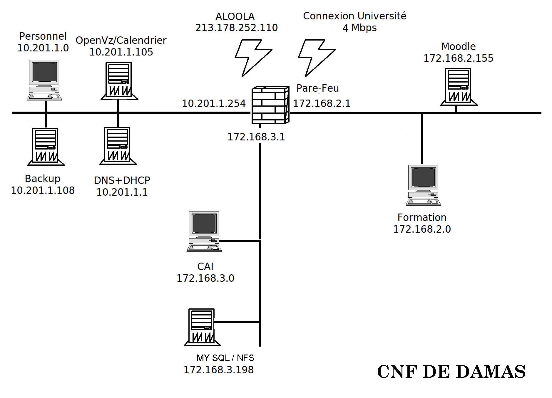 cnf-damas.jpg